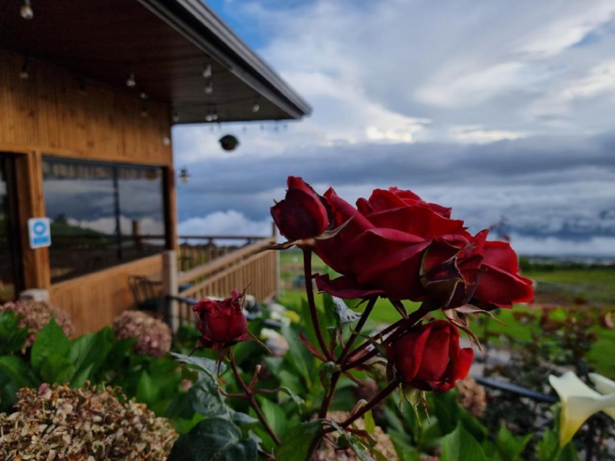 Hotel Cabanas Y Mirador Secret Garden Cr Cartago Extérieur photo