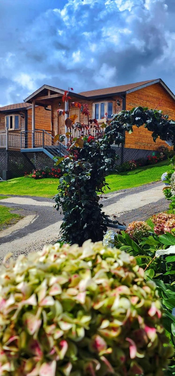 Hotel Cabanas Y Mirador Secret Garden Cr Cartago Extérieur photo